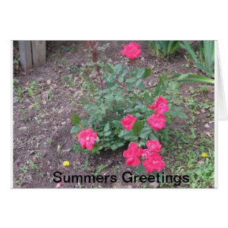 Summers Love Cards