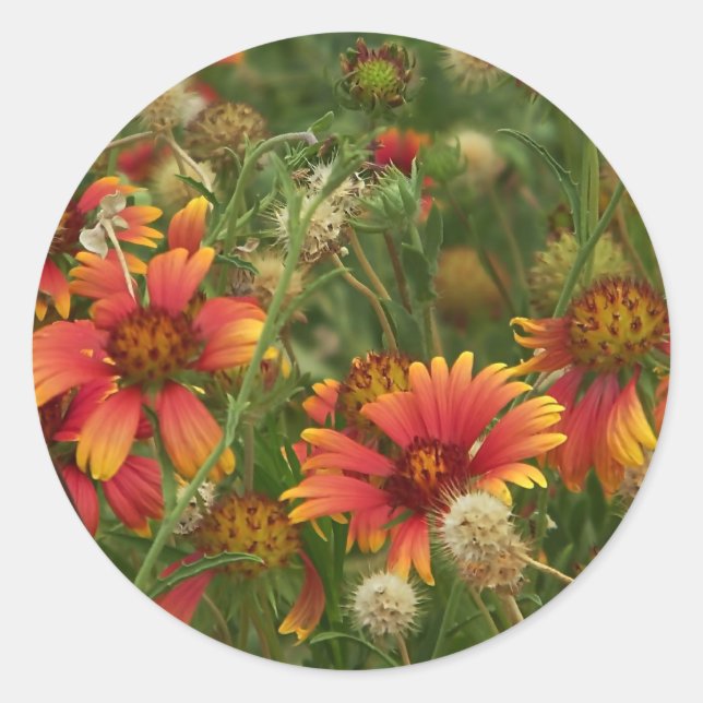 summertime floral sticker (Front)