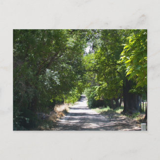 Summertime Postcard