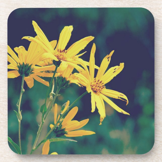 Summertime Wildflowers Beverage Coaster (Front)