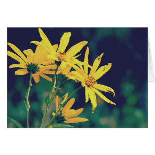 Summertime Wildflowers Cards