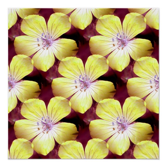 Summery Yellow.... Poster (Front)