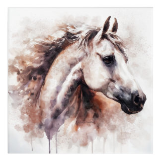 Summit Ghost Acrylic Print by Delaney Everlove