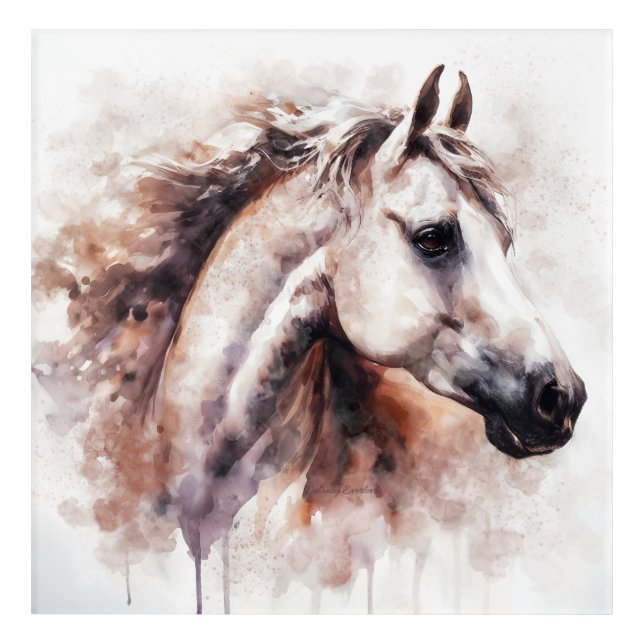 Summit Ghost Acrylic Print by Delaney Everlove  (Front)
