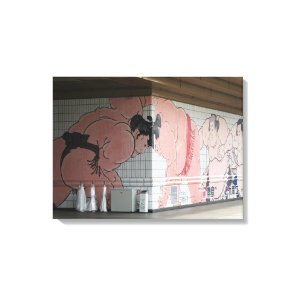 Sumo Mural Wall Art