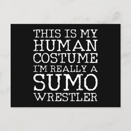 Sumo Wrestler Wrestling Costume Postcard