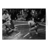SUMO Wrestling (Front Horizontal)