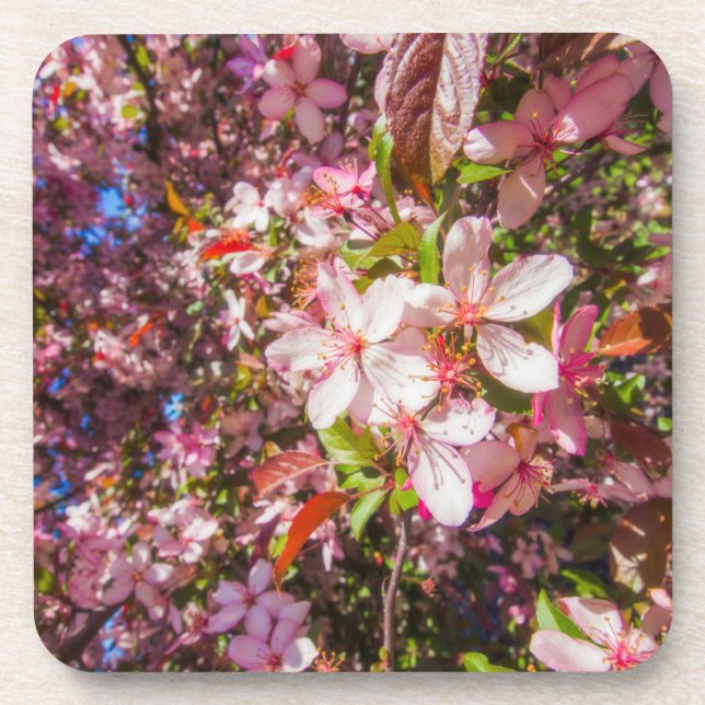 Sun and clouds Nature blooms Heart in flowers Beverage Coaster (Front)