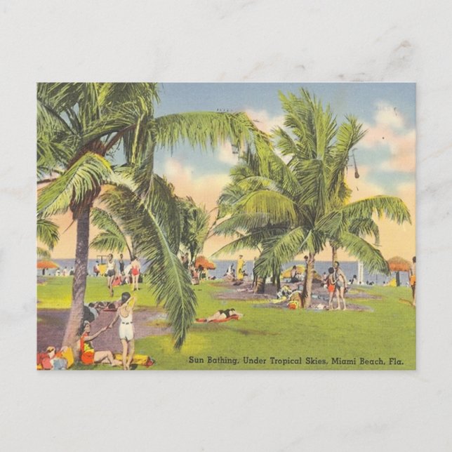 Sun Bathing, Tropical Skies, Miami Beach, Florida Postcard (Front)