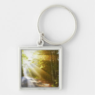 Sun Beams Through Forest in Acadia National Park Keychain