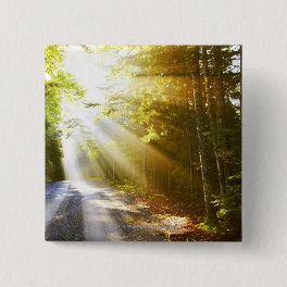 Sun Beams Through Forest in Acadia National Park Pinback Button