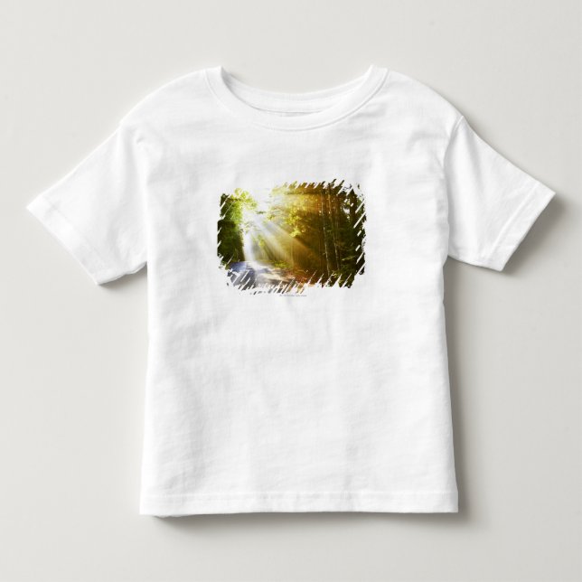 Sun Beams Through Forest in Acadia National Park Toddler T-shirt (Front)