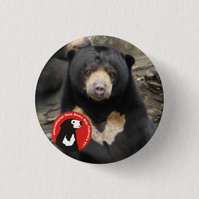 Sun Bear ISBD Pinback Button (Front)