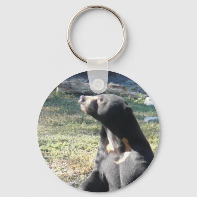 Sun Bear Keychain (Front)