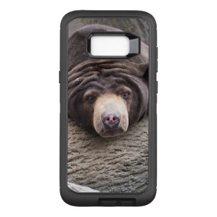 Sun bear OtterBox defender samsung galaxy s8+ case