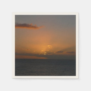 Sun Behind Clouds II Seascape Napkins