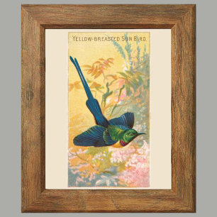 Sun Bird, Set of 6 Bird Gallery Wall, 4 of 6 Poster