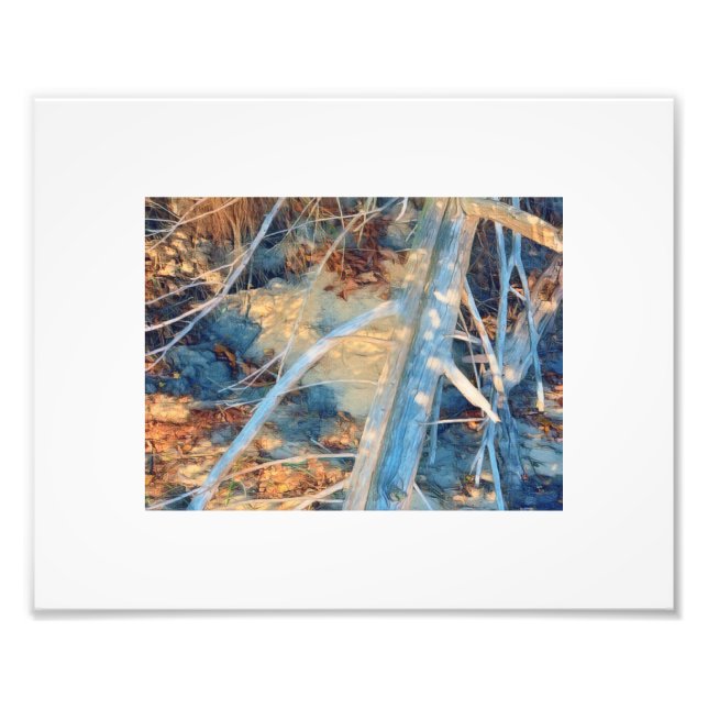 Sun-bleached Rustic Coastline Brush Photo Print (Front)