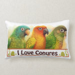 Sun Blue-Crowned Green-Cheeked Conures Realistic Painting Bird Gifts Pillow