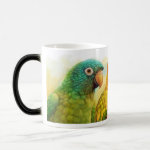 Sun Blue-Crowned Green-Cheeked Conures Realistic Painting Bird Gifts Morphing Mug