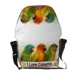 Sun Blue-Crowned Green-Cheeked Conures Realistic Painting Bird Gifts Messenger Bag