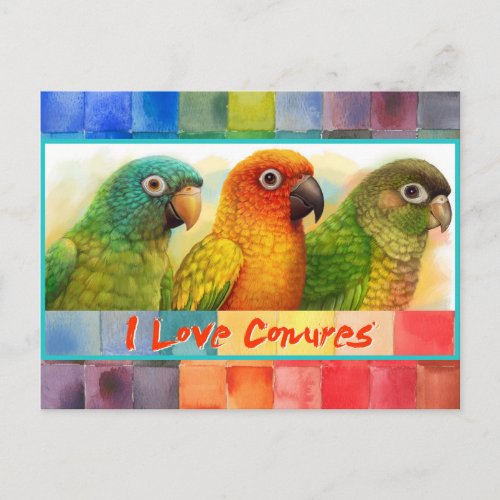 Sun blue_crowned green_cheeked conures postcard