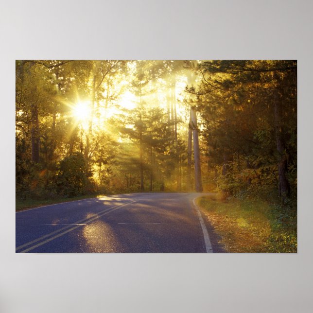 Sun bursts through the forest onto roadway at poster (Front)