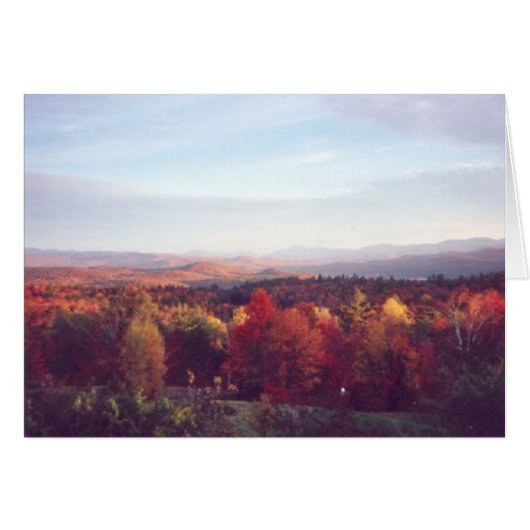 "Sun catches the treetops" Cards (Front Horizontal)