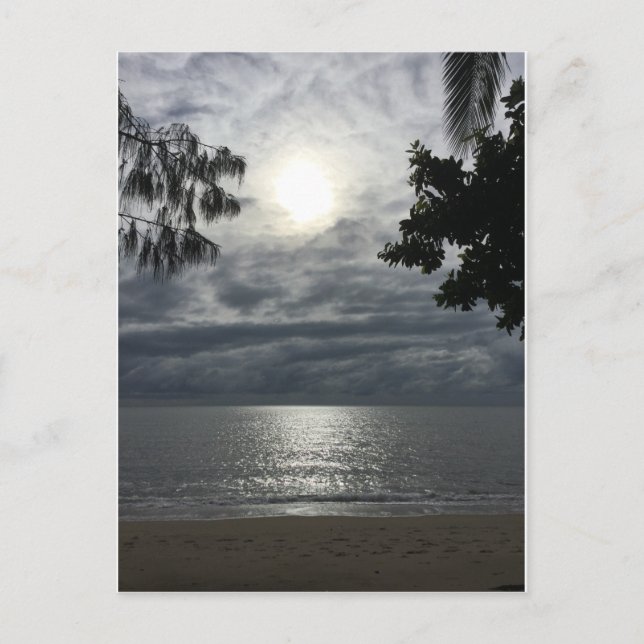 sun cloud sea Palm Cove postcard (Front)
