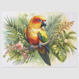 Sun Conure Decoupage Tissue Paper