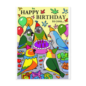 sun conure gcc quaker caique senegal parrot happy postcard