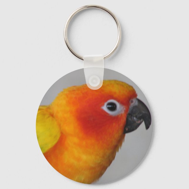 Sun Conure Keychain (Front)