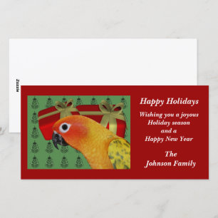 Sun Conure Parrot Animal Christmas Holiday  Card