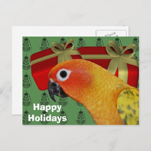 Sun Conure Parrot Christmas Holiday Postcard