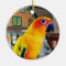 Sun Conure Parrot Christmas Ornament