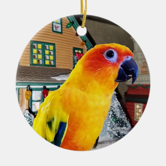 Sun Conure Parrot Christmas Ornament (Front)