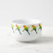 Sun Conure Parrot Soup Mug