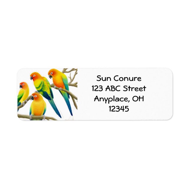 Sun Conure Parrots Label (Front)