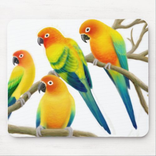 Sun Conure Parrots Mousepad