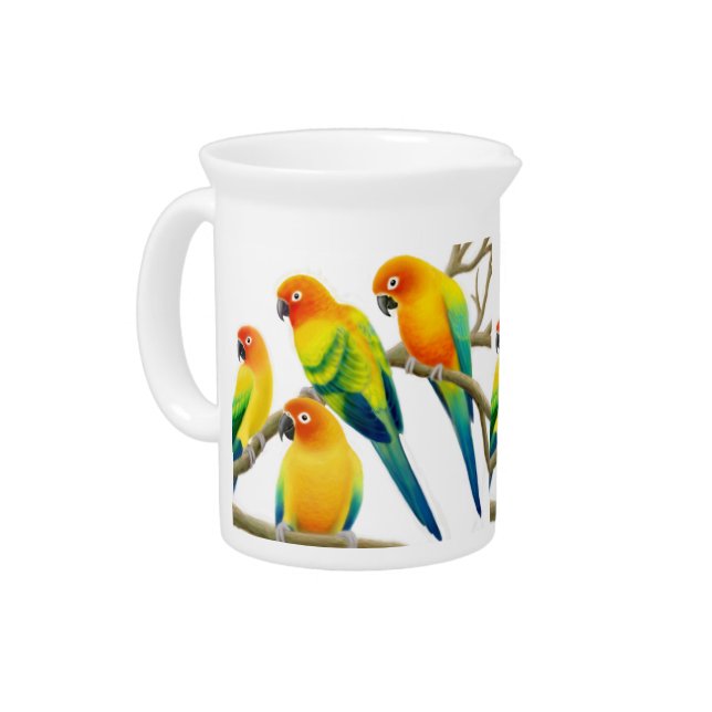 Sun Conure Parrots Pitcher (Left)