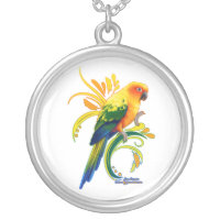 Sun Conure