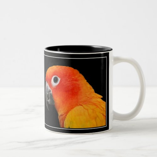 Sun Conure Two_Tone Coffee Mug