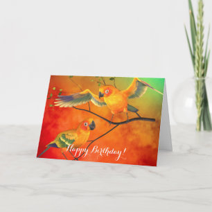 Sun Conures Birthday Card