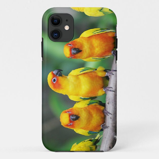 Sun Conures Case-Mate iPhone Case (Back)