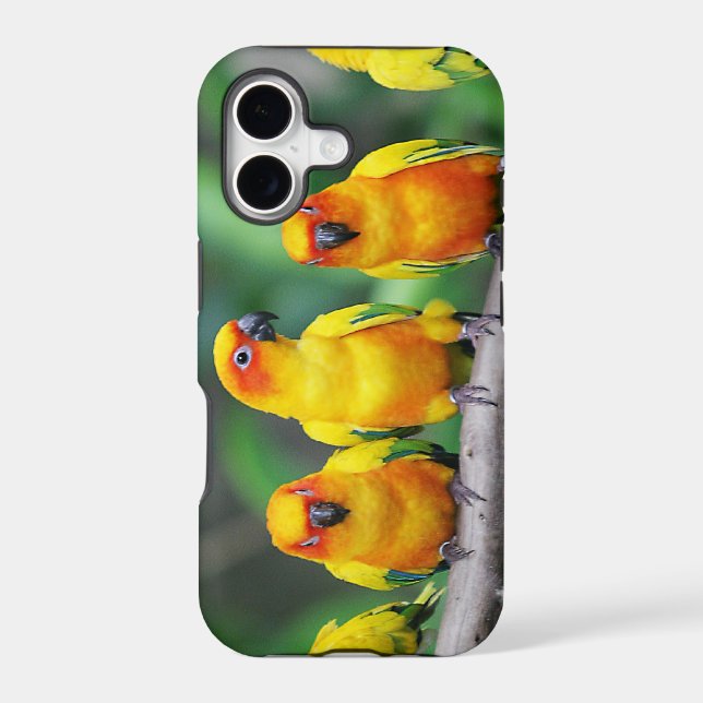 Sun Conures Iphone Case (Back)