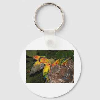Sun Conures Keychain