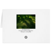 Sun Dappled Lawn Cards (Back Horizontal)