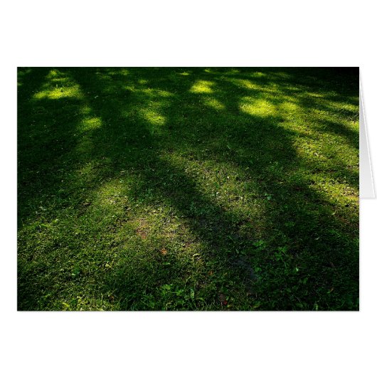 Sun Dappled Lawn Cards (Front Horizontal)