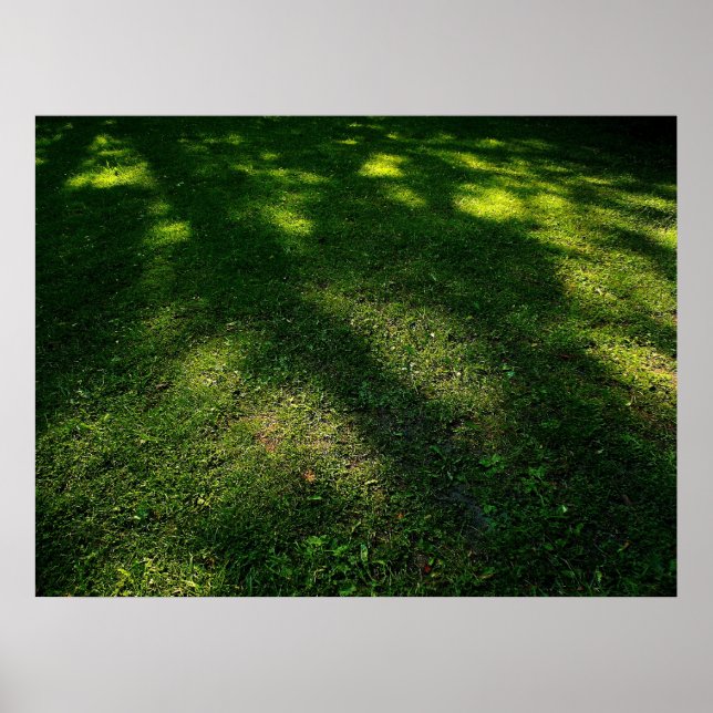 Sun Dappled Lawn Poster (Front)