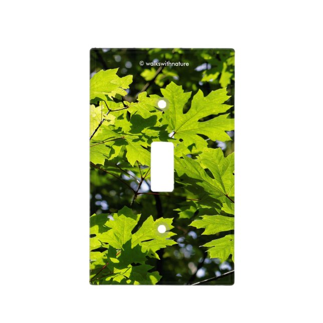 Sun-Dappled Leaves in the Forest Light Switch Cover (Front)